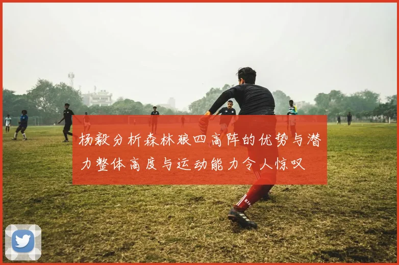 杨毅分析森林狼四高阵的优势与潜力整体高度与运动能力令人惊叹